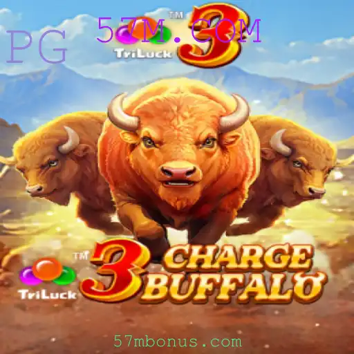 Descubra o Mundo de 3ChargeBuffalo e 57M.COM: Um Guia Completo